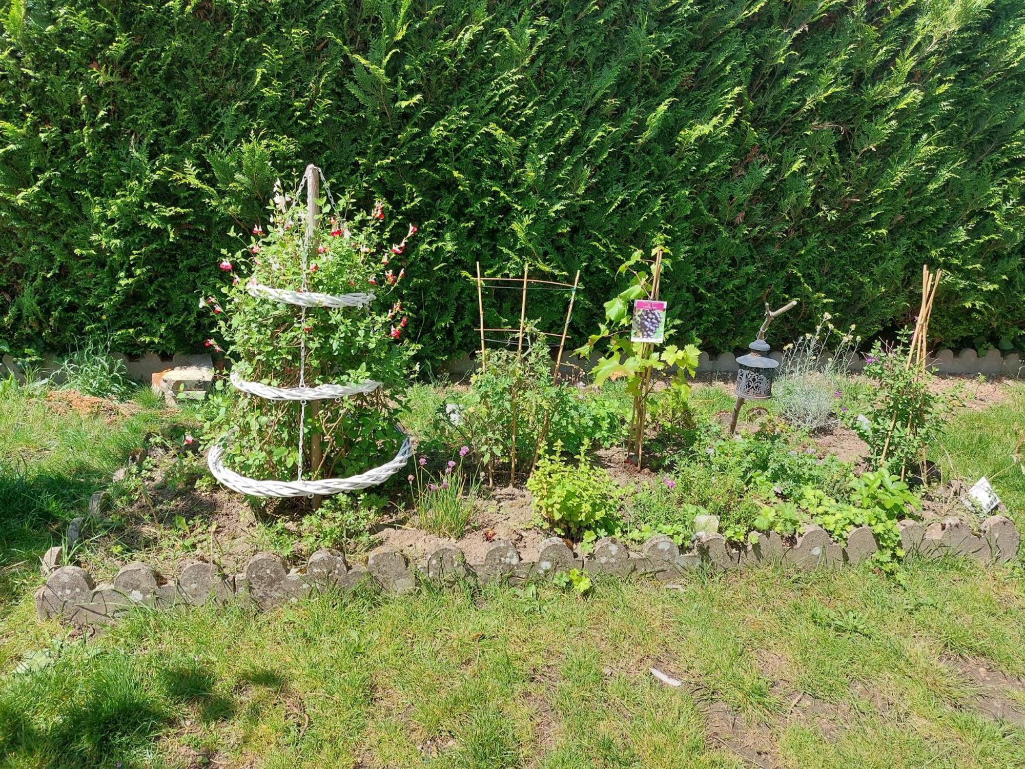 L'Echappee Montrichardaise Bed & Breakfast Eksteriør bilde